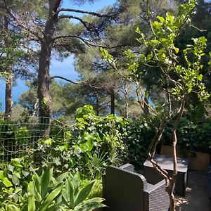 guest-house-berzefi.hotelitalianriviera.com/